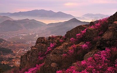 영취산
