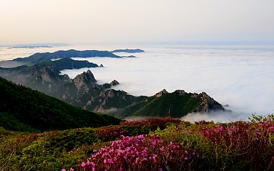 직년에 보았던 설악산