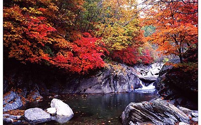 화악산계곡