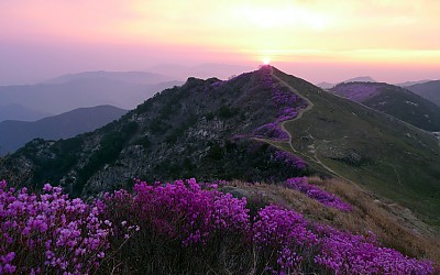 화왕산 디카 스케치