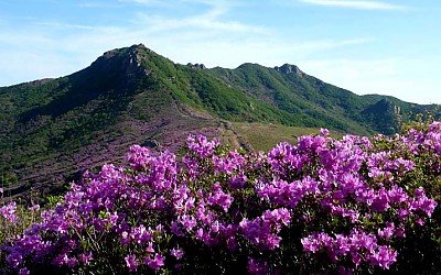 황매산