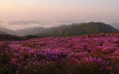 5월5일 황매산 스케치