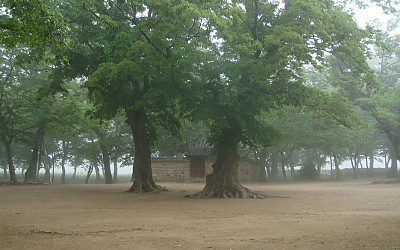 계림숲