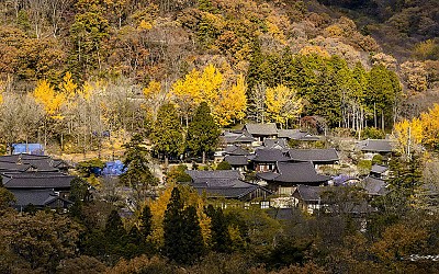 山寺秋色景