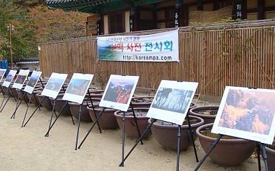 주왕산 전시회