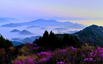 천주산에서