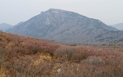 비슬산 상황