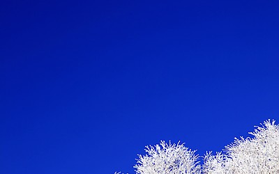덕유산의 달