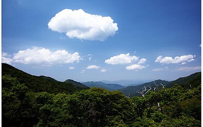 기록....