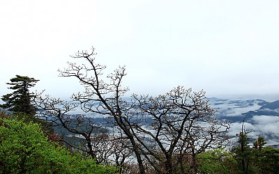 전시회 삼일째 소경