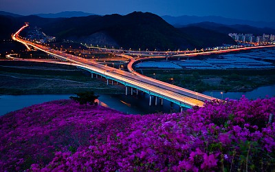 서대구ic의 연산홍