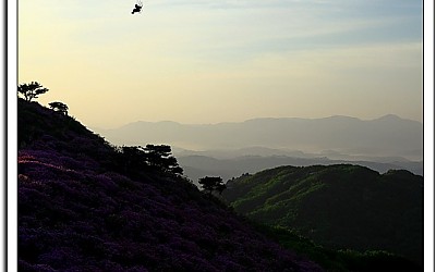 황매산