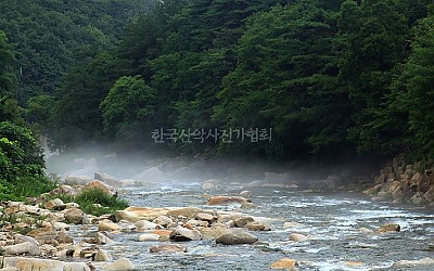단양8경중 하나...