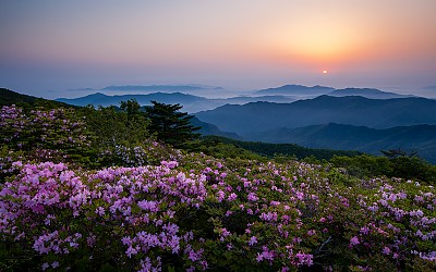 중봉 일출