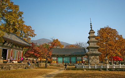 송림사의 늦가을