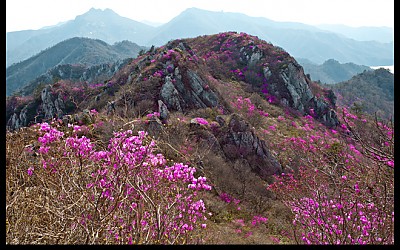 주작산 상황 전합니다(4월15일)