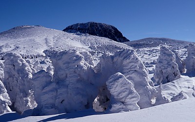 Snow monster