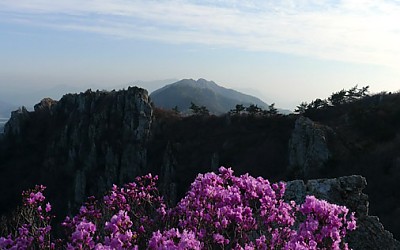 달마산 스케치