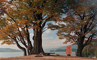 color negative film 실험