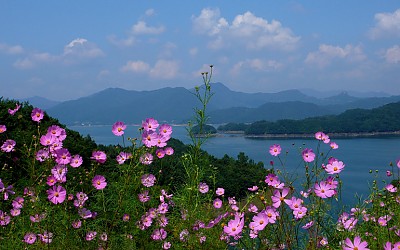 충주호의 가을