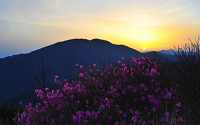 노고단에서 피아골까지