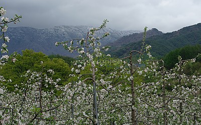 덕유산 춘설