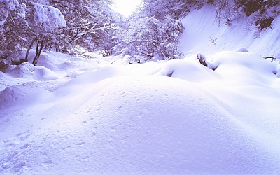 탐라계곡