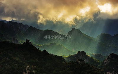 자~~어두운 장막을 열어라...