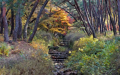 경주의 가을