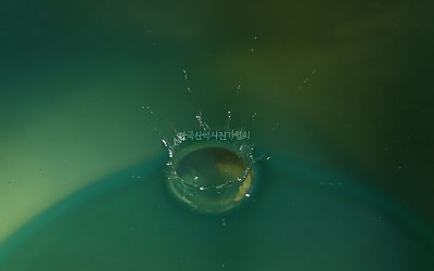 찰나 !