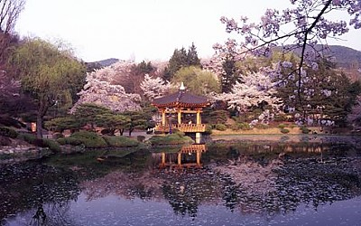 경주의 봄 - 보문정