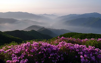  절정(똑닥이 스케치)