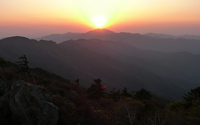 단풍은 간 곳 없고
