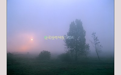 안개가 있는 풍경