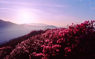 노고단 이출
