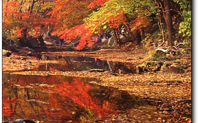 선운사