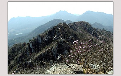 주작산의 봄