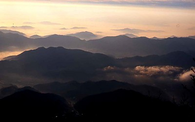 오도산에서