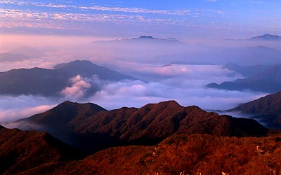 오도산에서
