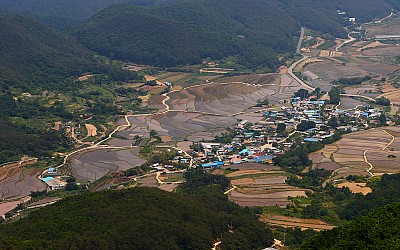 비지제전(飛只梯田) ^^