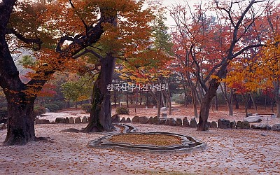가을속의 고도