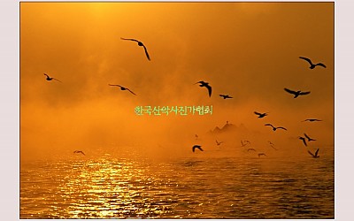 동해의 아침