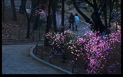 인생은 아름다운것.