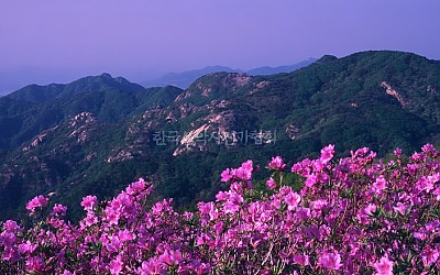 황매산
