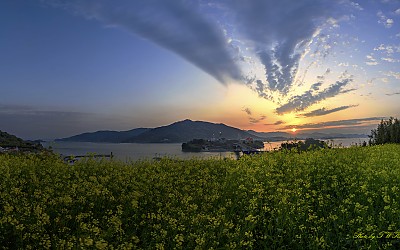 하나로