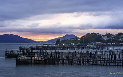 사천 실안