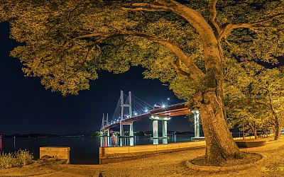 대방 군영숲