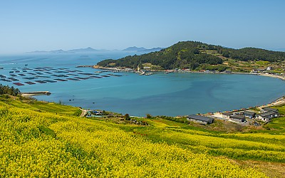 청산도에서