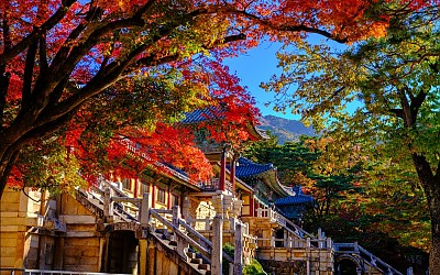 불국사