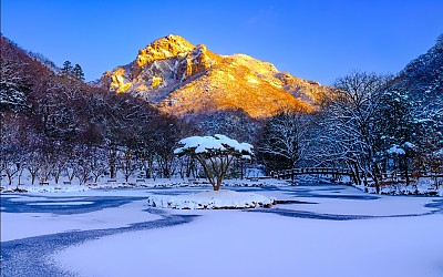 약수지